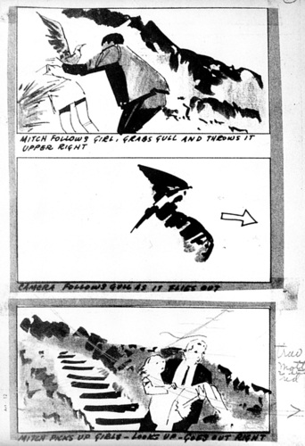 The Birds (1963) - storyboard